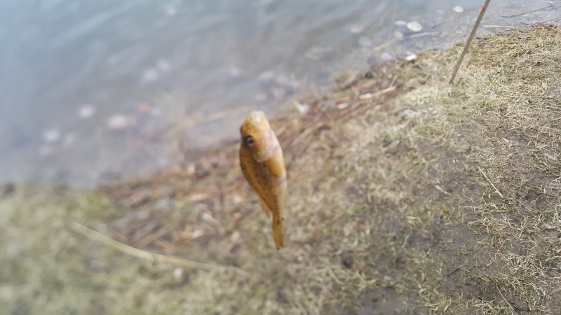 20210405_174546.jpg