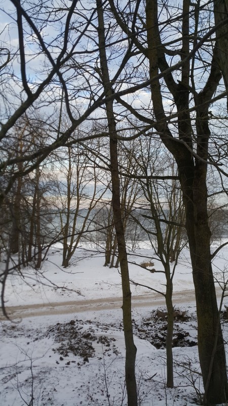 20211210_123945.jpg