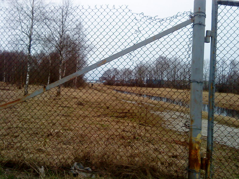 DSC00253.JPG