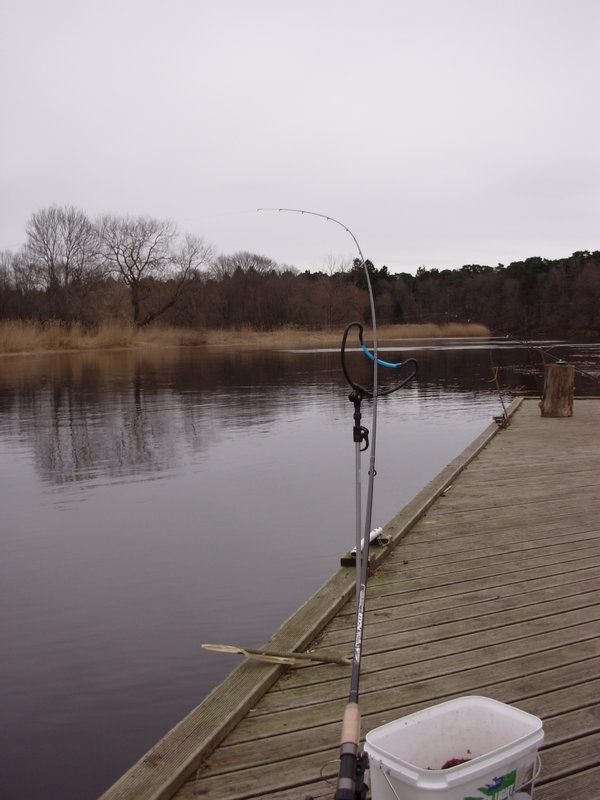 DSCN4256.JPG