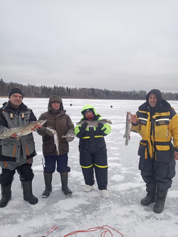 IMG_20220122_151635_5.jpg