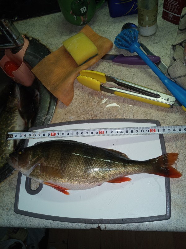IMG_20220129_190057_8.jpg