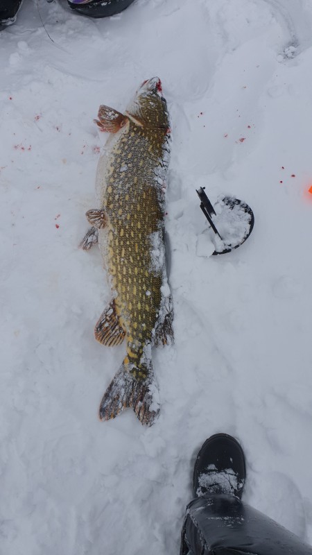 20220205_101833.jpg