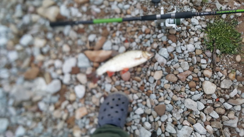 20210822_201525.jpg