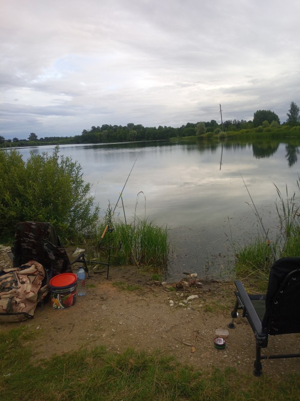 IMG_20220709_215306_3.jpg