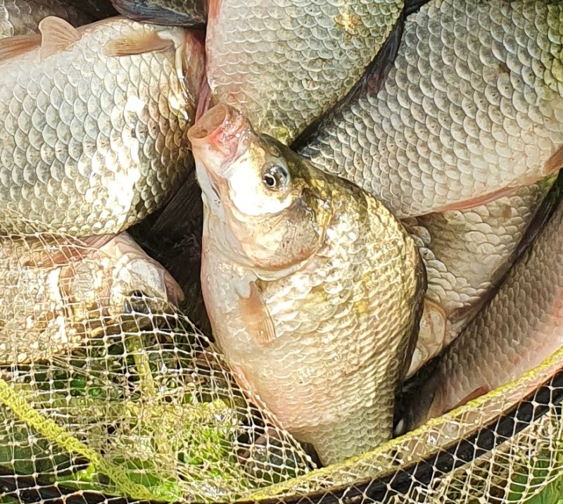 20220725_181457.jpg