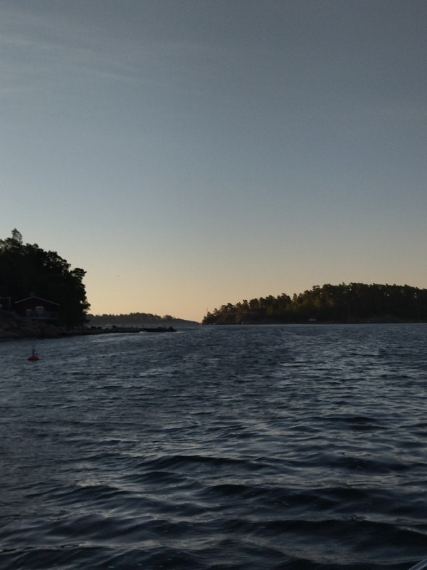 IMG_20220820_071324.jpg