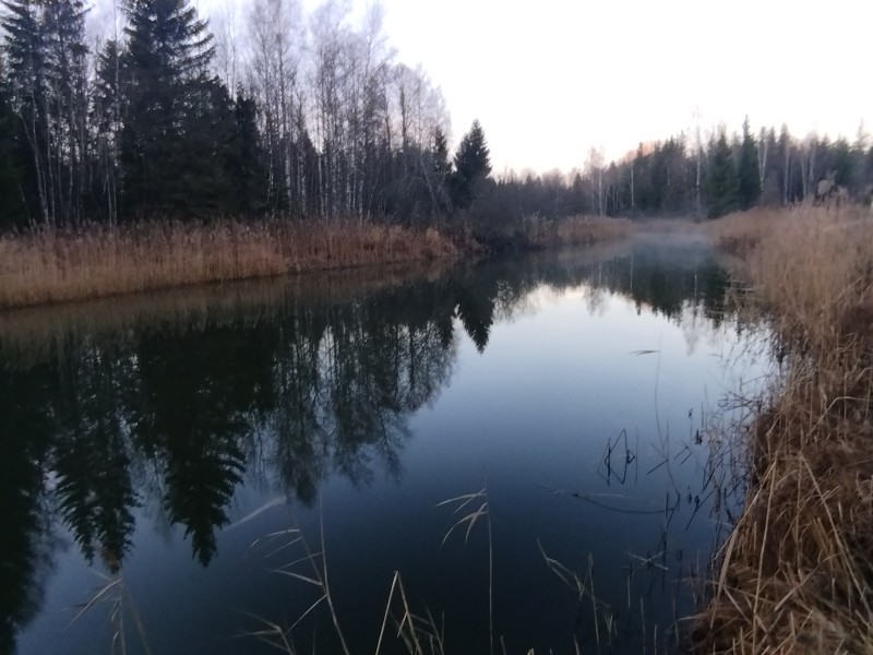 IMG_20221113_082456.jpg