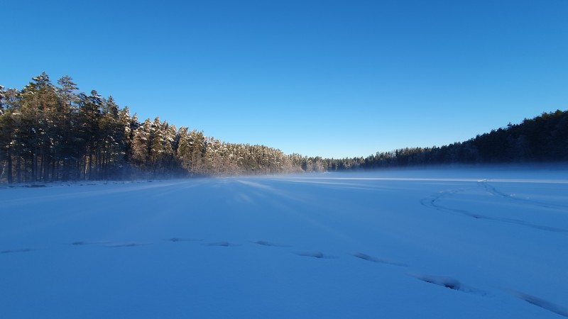 20230121_100335.jpg