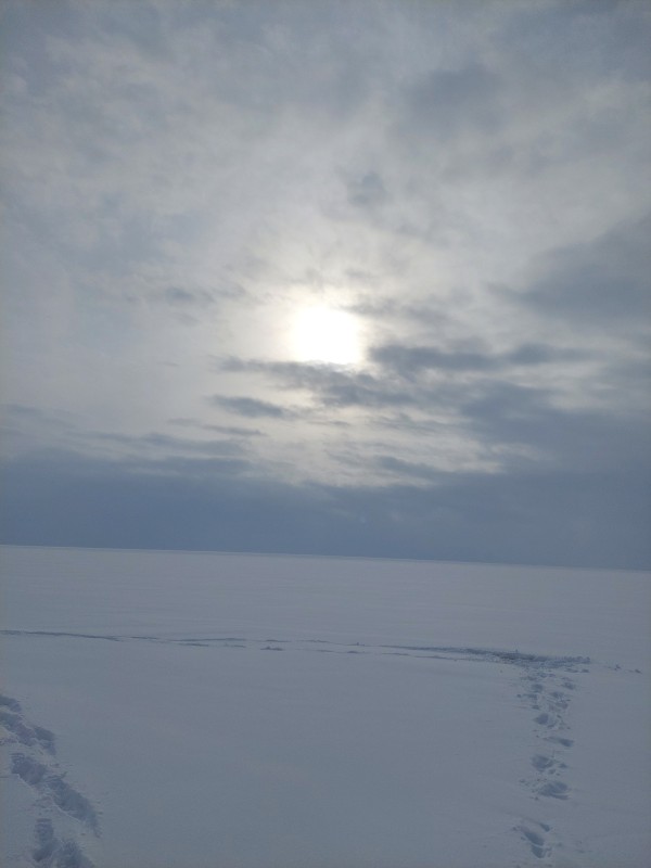 20230219_122740.jpg