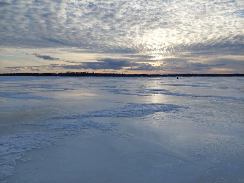 20230317_172314.jpg