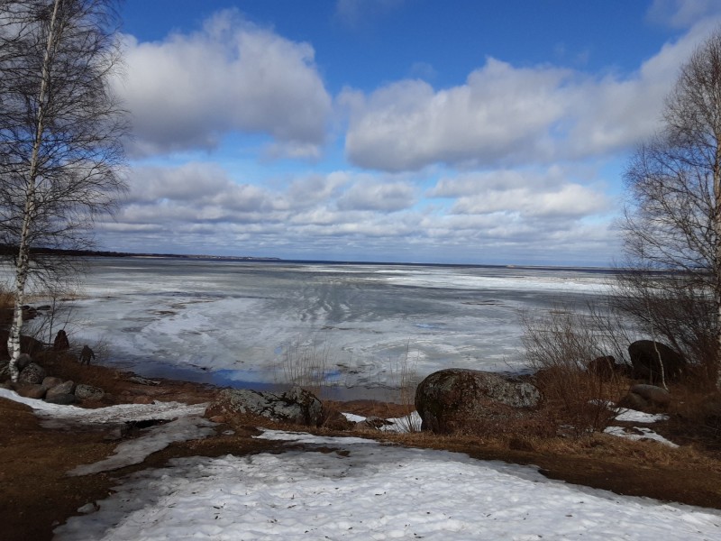 0A34517E-03A2-4DEE-924E-04E88529B105.jpeg