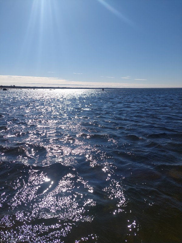 20230401_122448.jpg