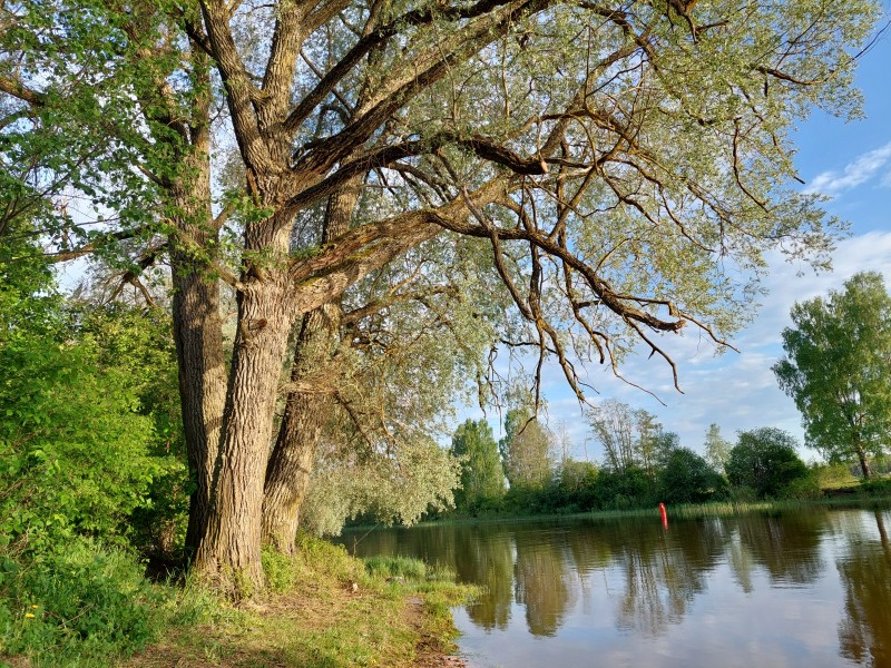 20230523_193734.jpg