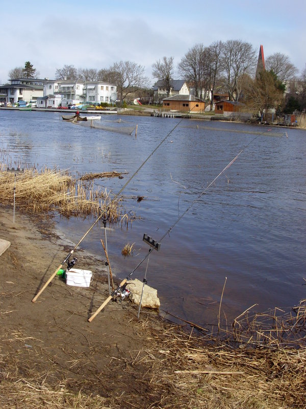 DSCN4278.JPG
