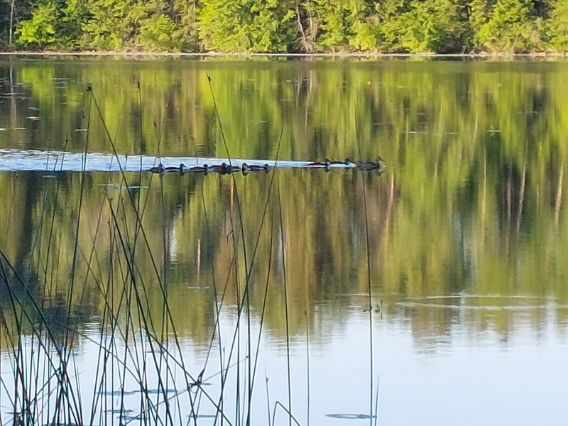 20230614_062553.jpg