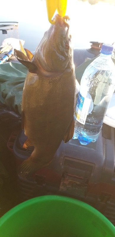 20230730_055613.jpg