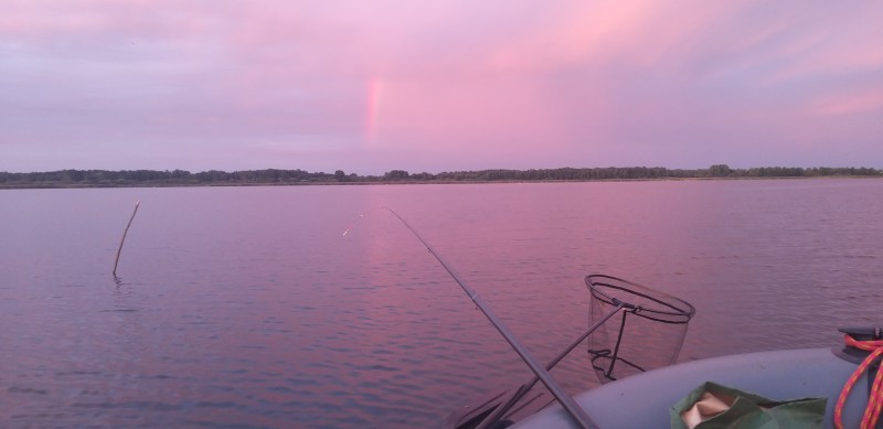 20230818_054131.jpg