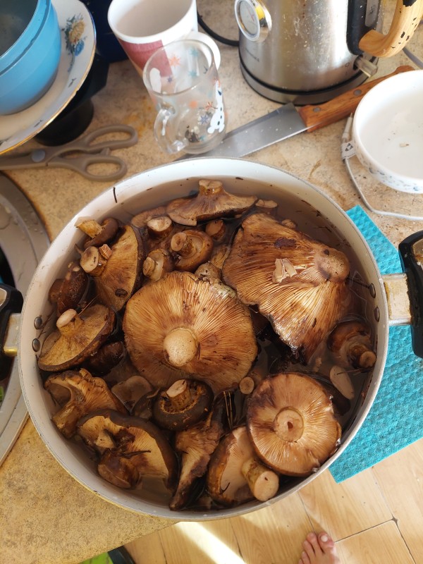 20230914_171239.jpg