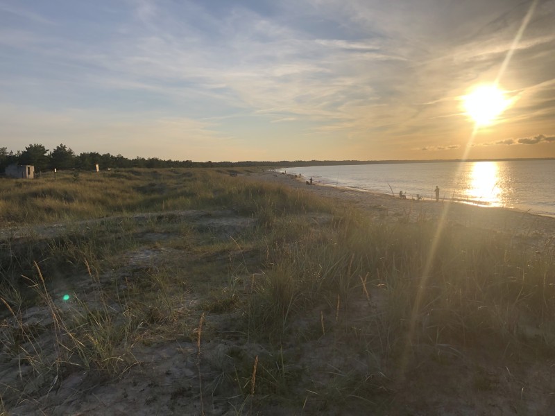 74A8308D-3AEB-4DF0-9E51-12433C746A4E.jpeg