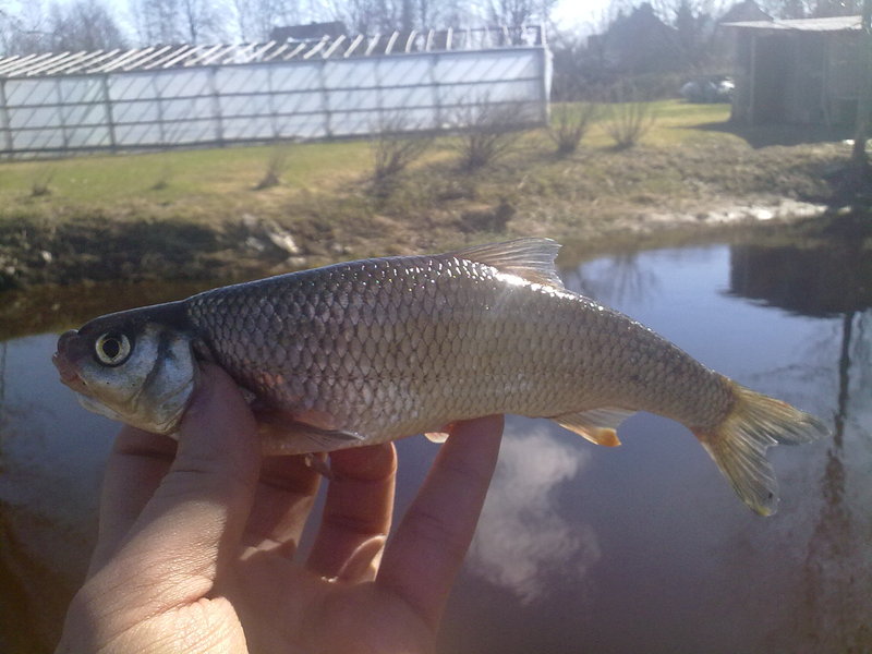 28042010150.jpg