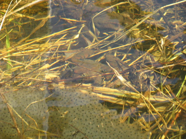 25.04.2010 002.jpg