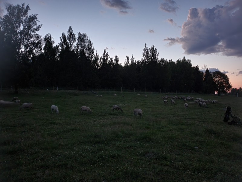20240628_235815.jpg