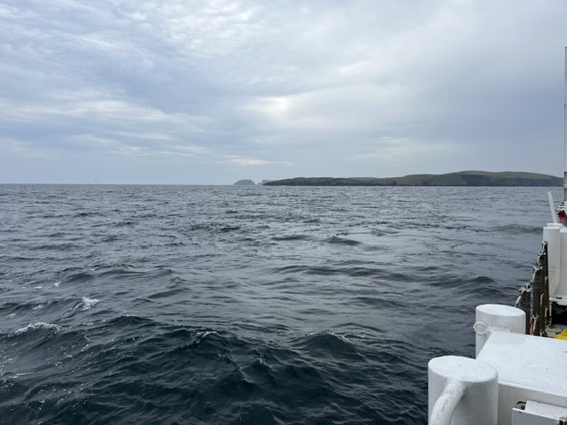 IMG_3253.jpeg
