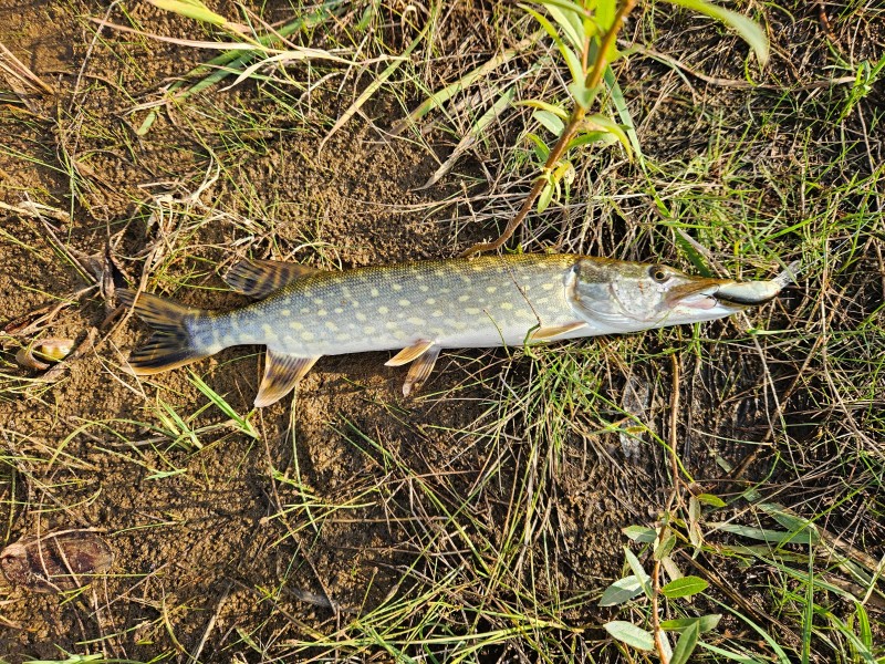 20240907_172344.jpg