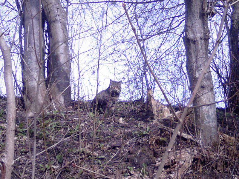 Photo-0017.jpg