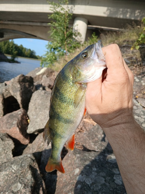 20240819_175901.jpg