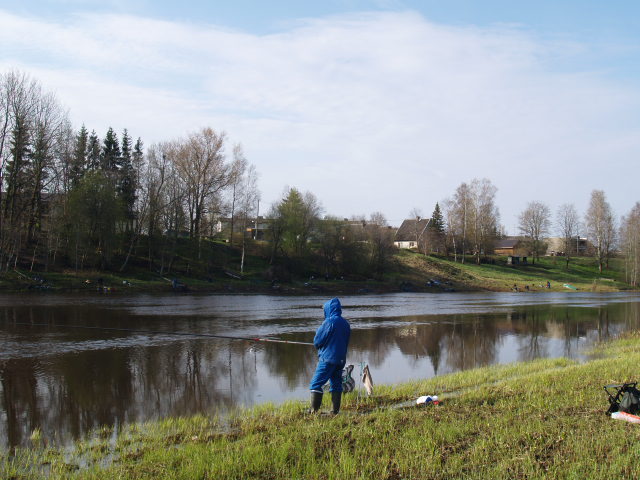 Picture 018.jpg