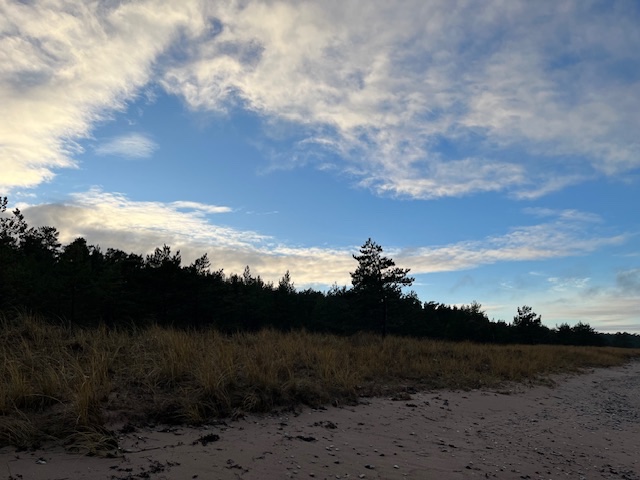 IMG_5539.jpeg