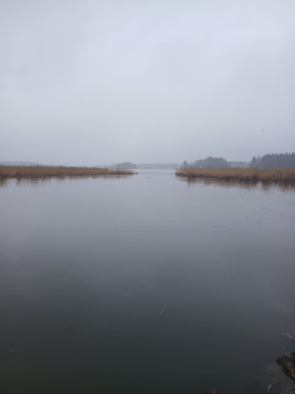 20250420_165206.jpg