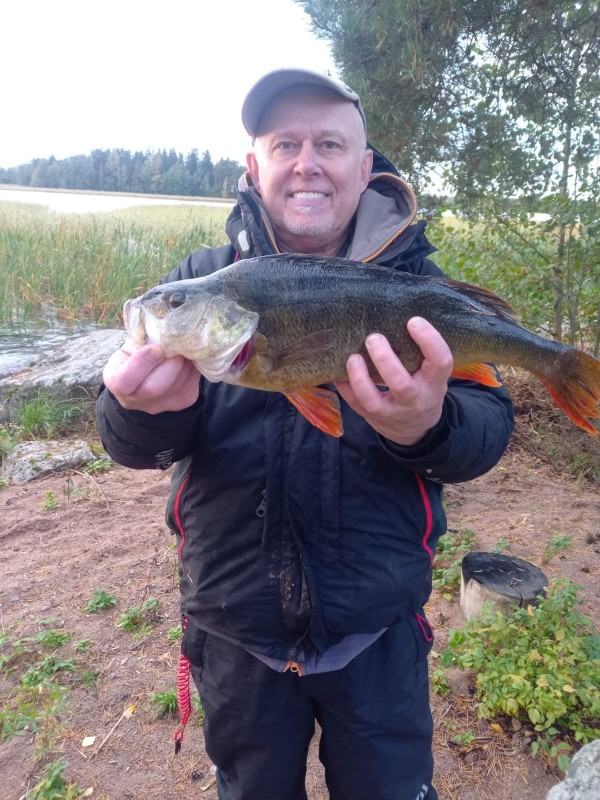 perch 1505.jpg