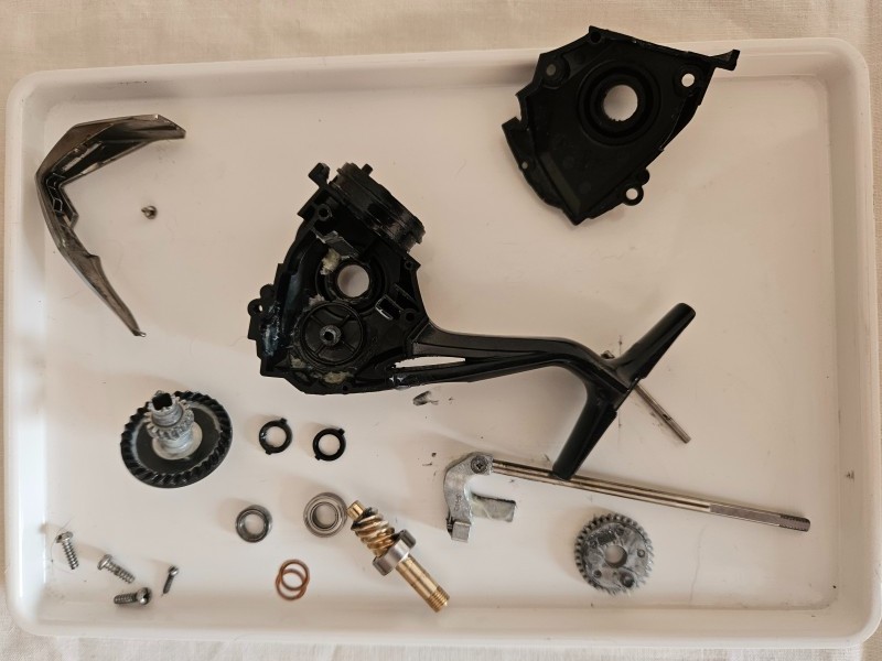 20260507_104942.jpg