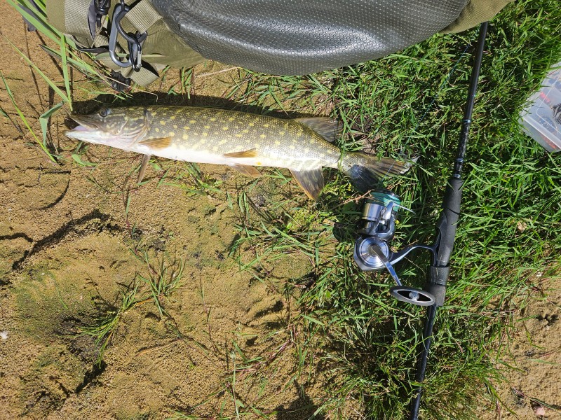 20260807_154033.jpg