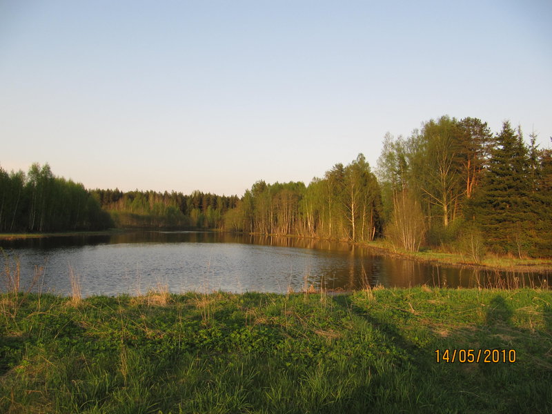 IMG_0098.jpg