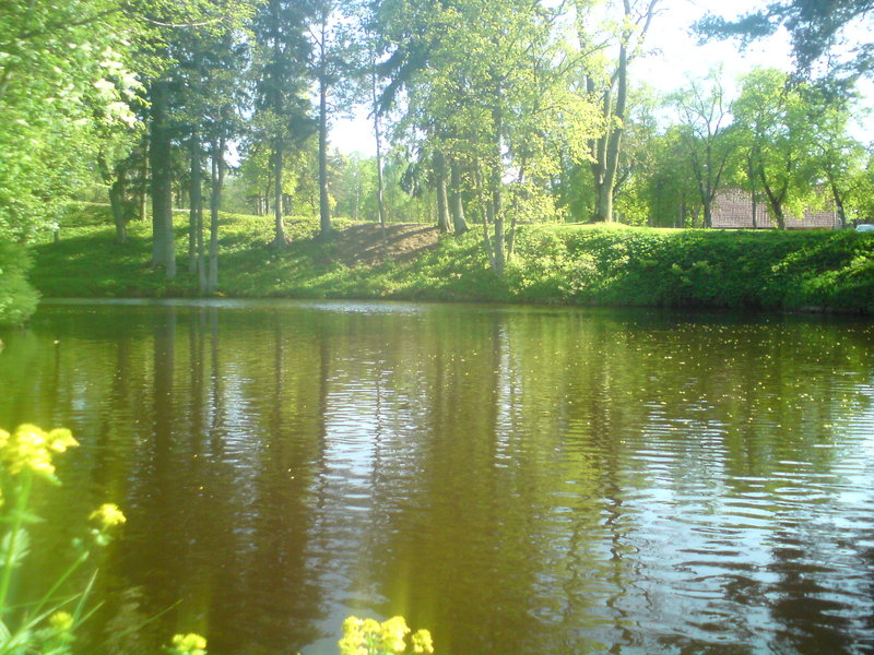 DSC00305.JPG
