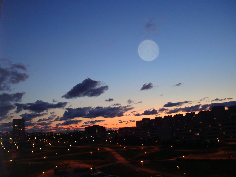 DSC00448.JPG