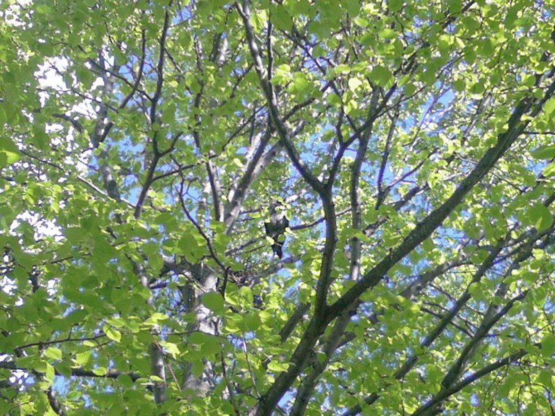 Photo-0038.jpg