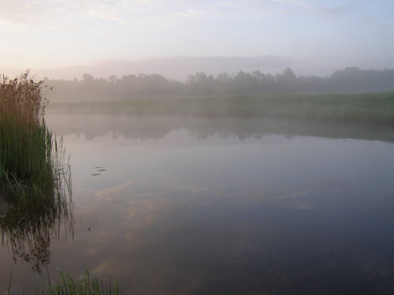 P5290821.JPG