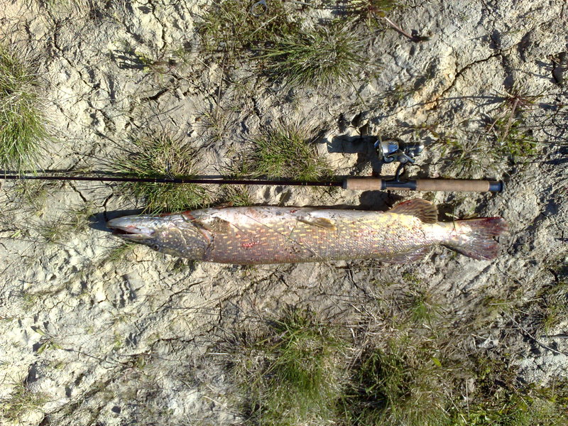 05062010933.jpg