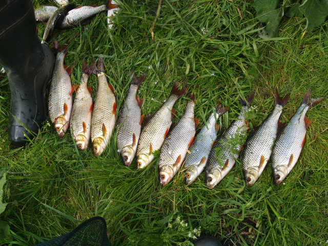 Picture 013.jpg