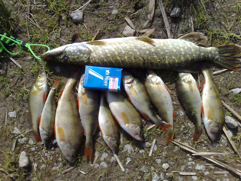 24062010978.jpg