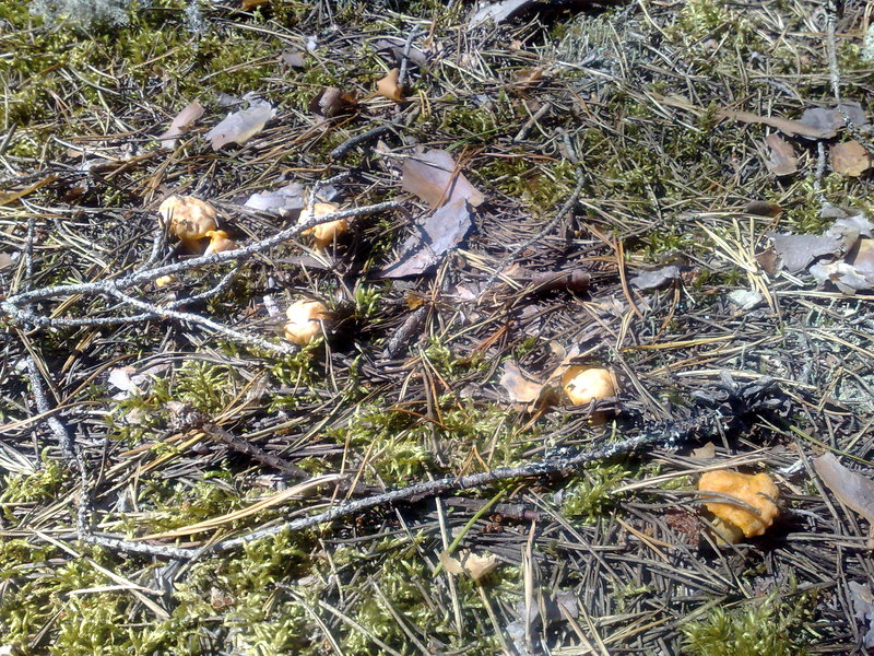 27072010985.jpg
