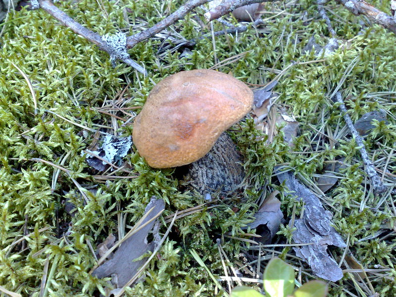 27072010981.jpg