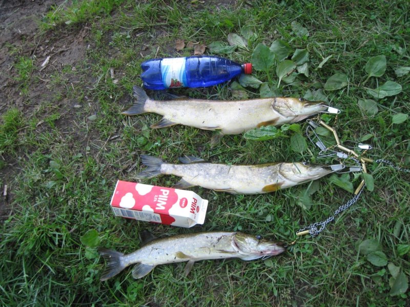 Ягала 05.06.10 036.jpg