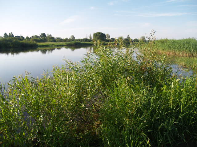 Picture 065.jpg