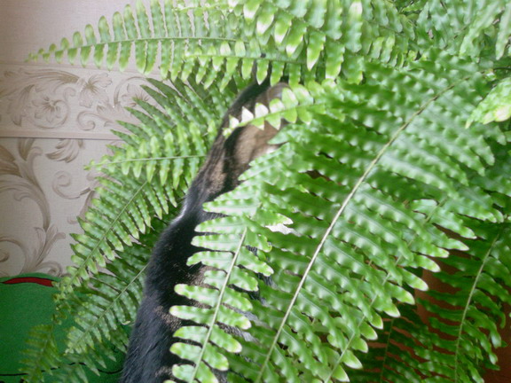 Photo-0012.jpg